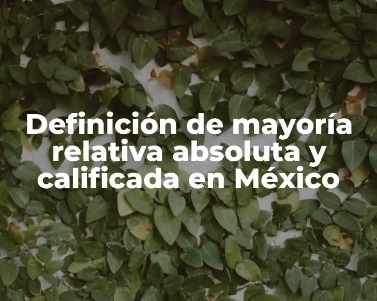 Definición de mayoría relativa absoluta y calificada en México