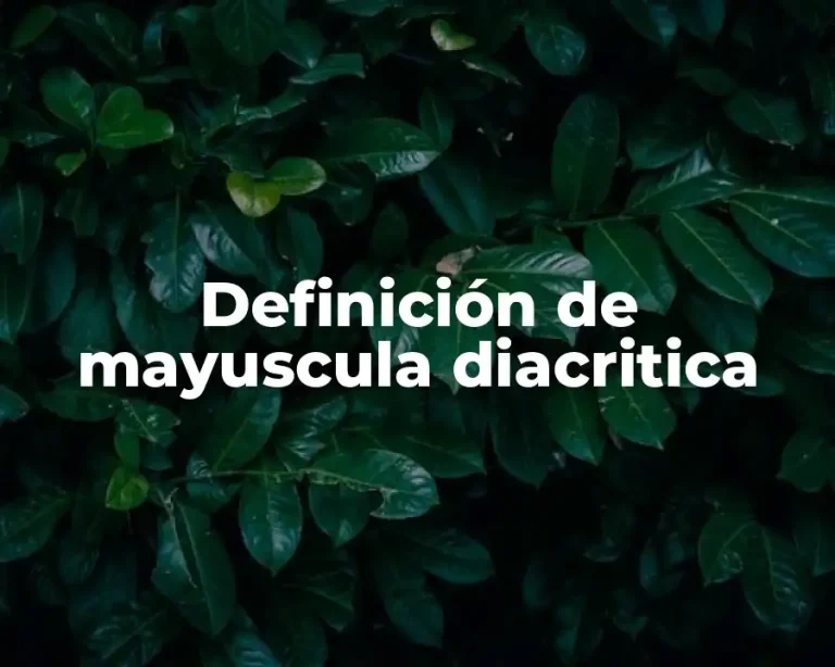 Definición de mayuscula diacritica