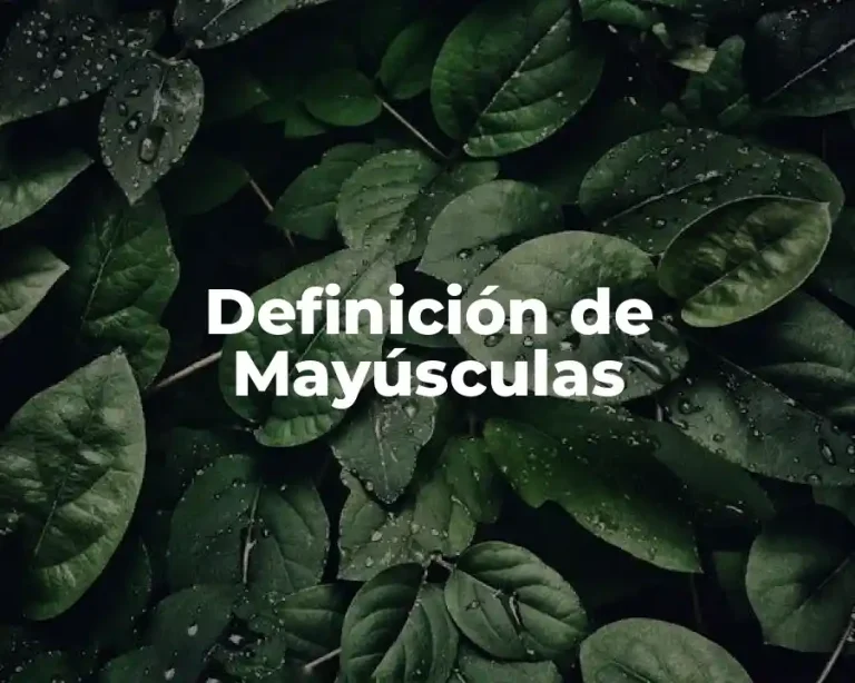 Definición de Mayúsculas