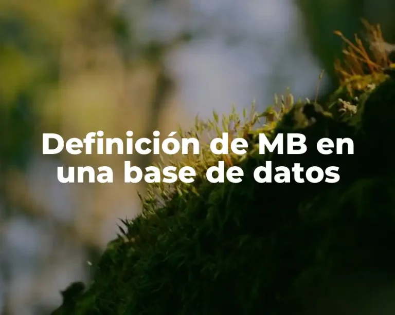Definición de MB en una base de datos