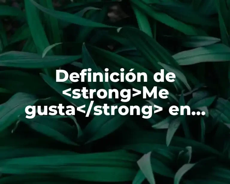 Definición de <strong>Me gusta</strong> en redes sociales