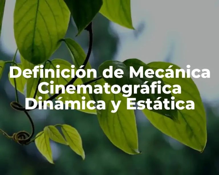 Definición de Mecánica Cinematográfica Dinámica y Estática