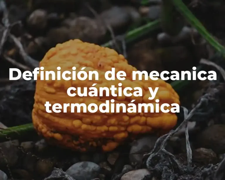 Definición de mecanica cuántica y termodinámica