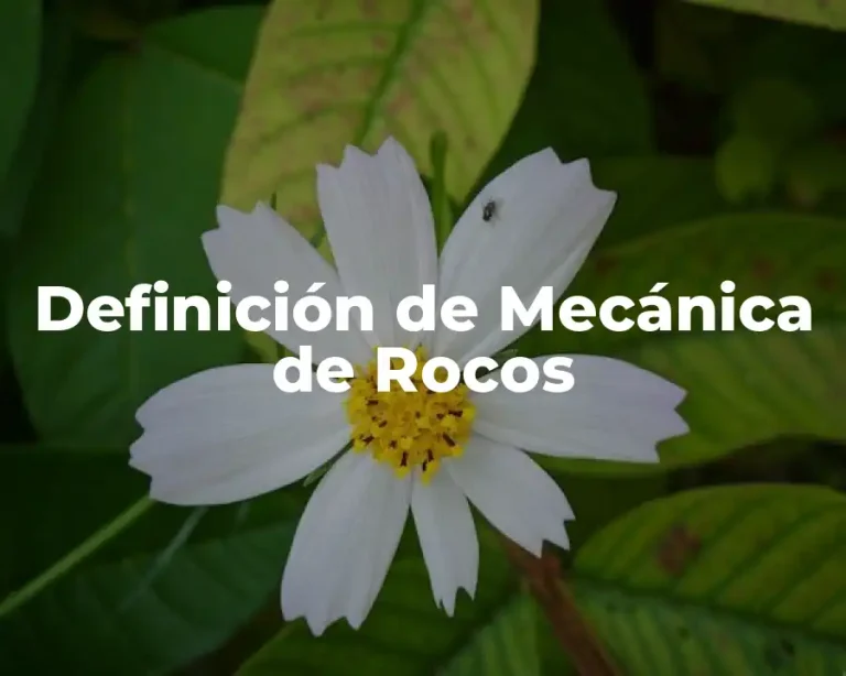 Definición de Mecánica de Rocos