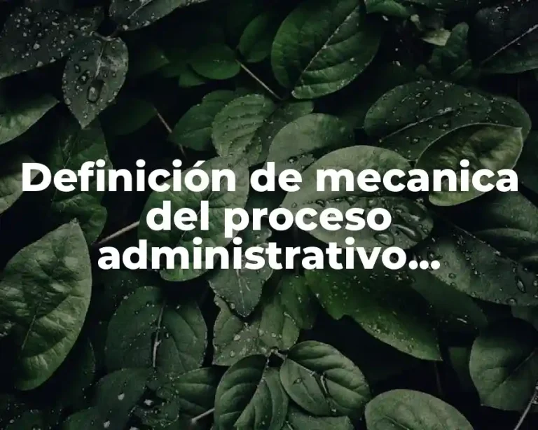 Definición de mecanica del proceso administrativo organizacional