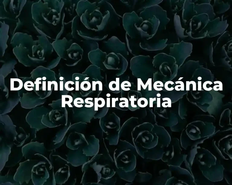Definición de Mecánica Respiratoria