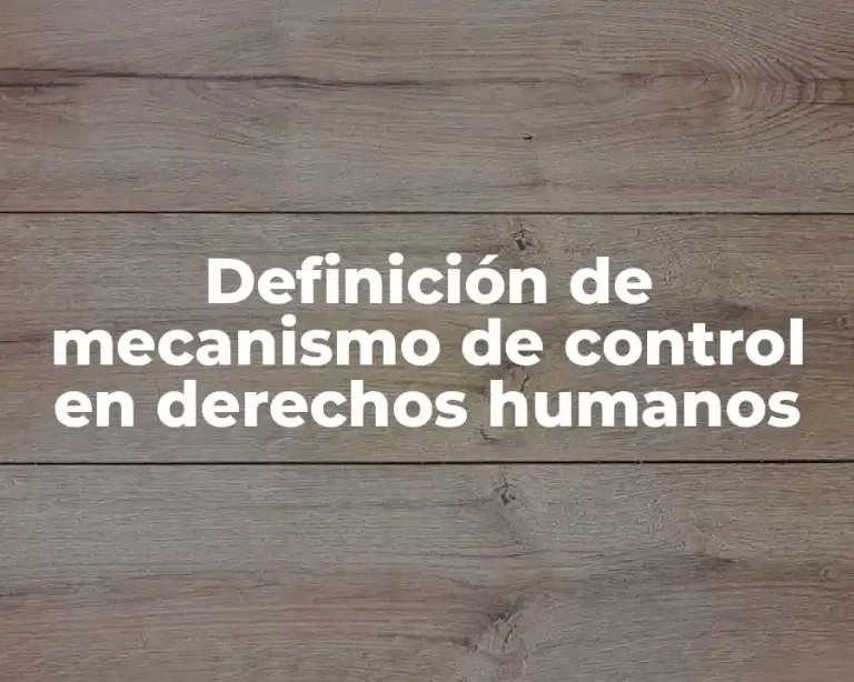 Definición de mecanismo de control en derechos humanos