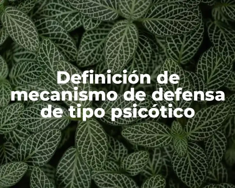 Definición de mecanismo de defensa de tipo psicótico
