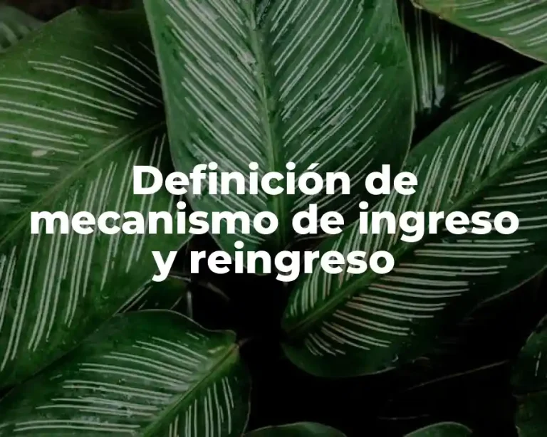 Definición de mecanismo de ingreso y reingreso