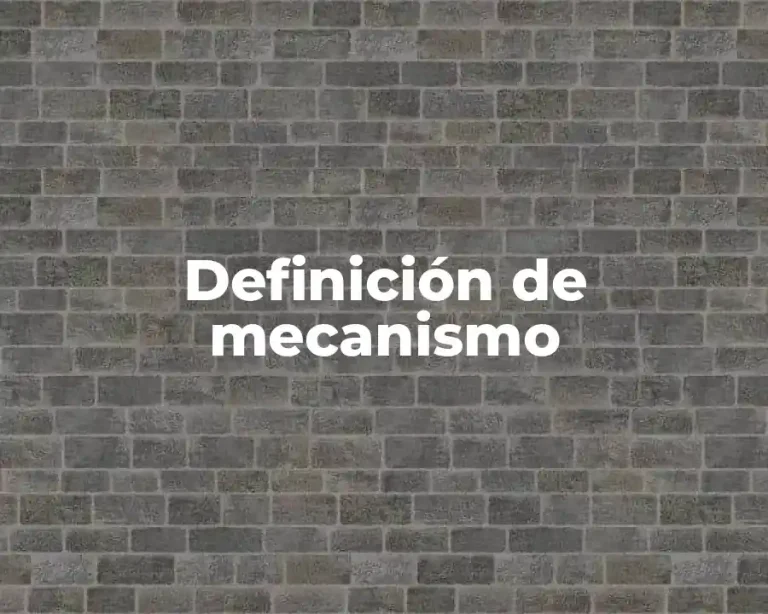 Definición de mecanismo