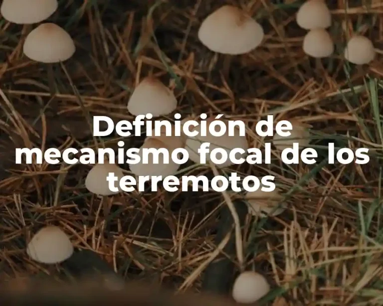 Definición de mecanismo focal de los terremotos