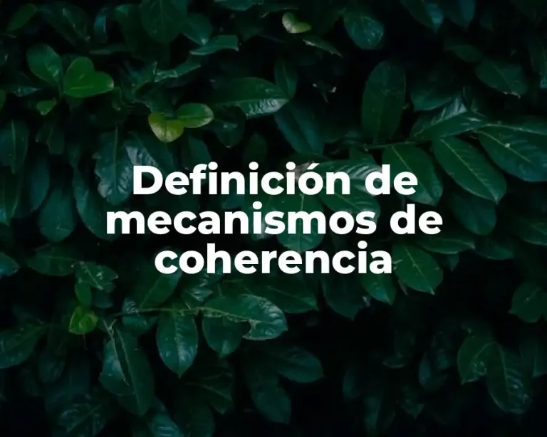 Definición de mecanismos de coherencia