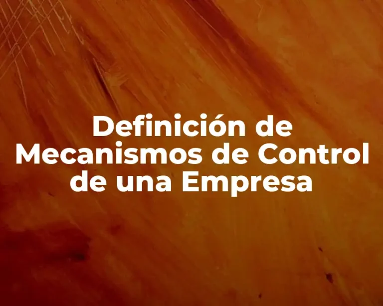 Definición de Mecanismos de Control de una Empresa