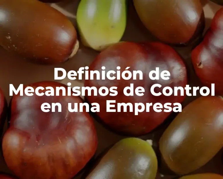 Definición de Mecanismos de Control en una Empresa