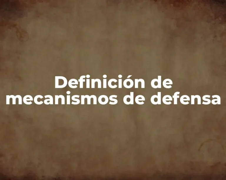 Definición de mecanismos de defensa