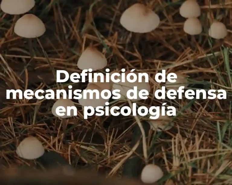 Definición de mecanismos de defensa en psicología