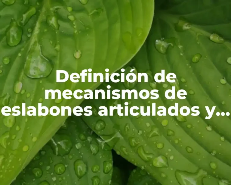 Definición de mecanismos de eslabones articulados y sus partes