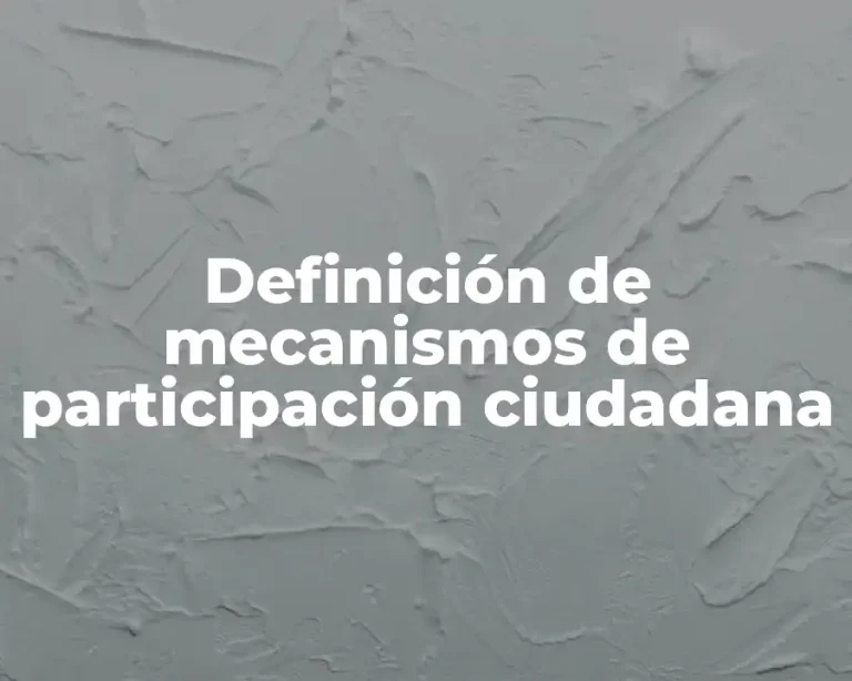 Definición de mecanismos de participación ciudadana
