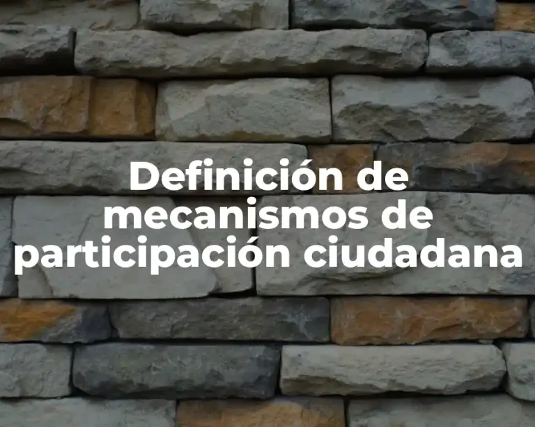 Definición de mecanismos de participación ciudadana
