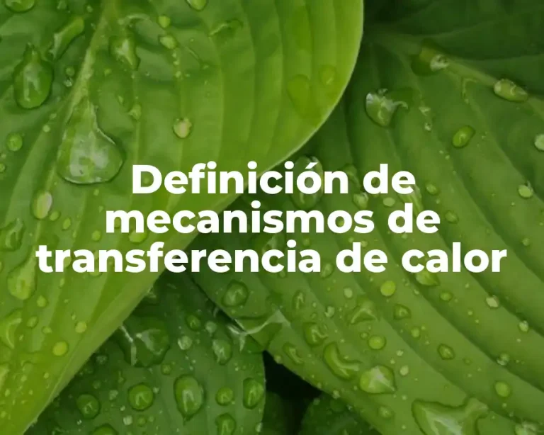 Definición de mecanismos de transferencia de calor