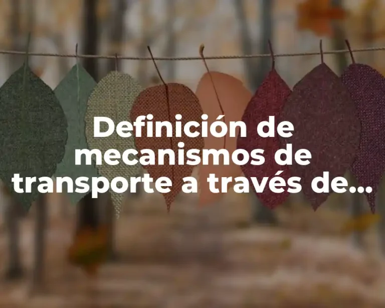 Definición de mecanismos de transporte a través de la membrana plasmática