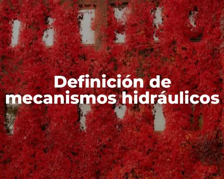 Definición de mecanismos hidráulicos