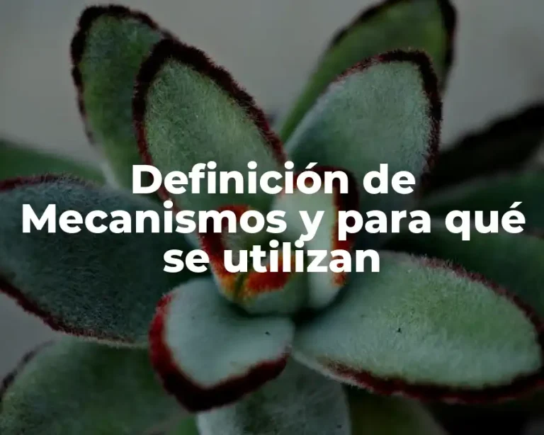 Definición de Mecanismos y para qué se utilizan