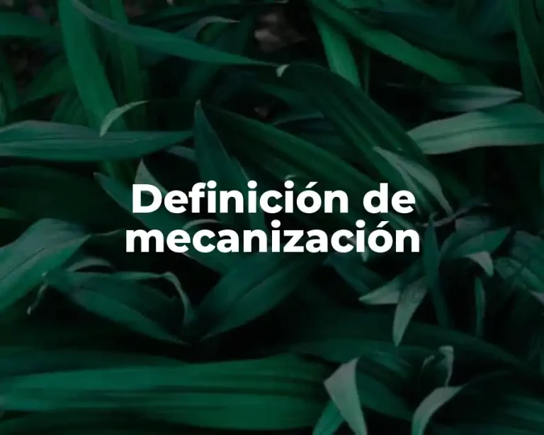 Definición de mecanización