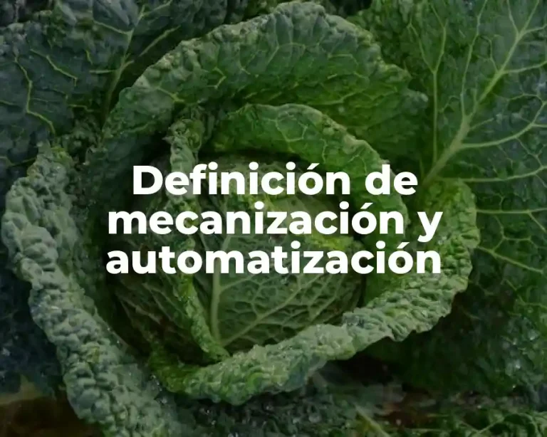 Definición de mecanización y automatización