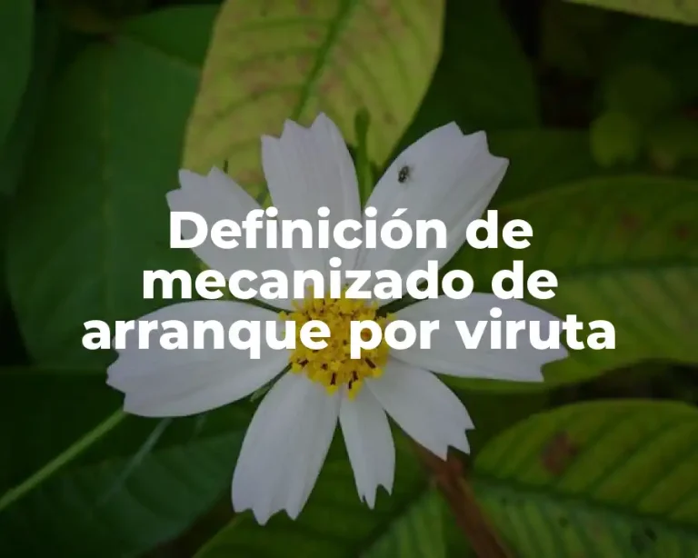 Definición de mecanizado de arranque por viruta