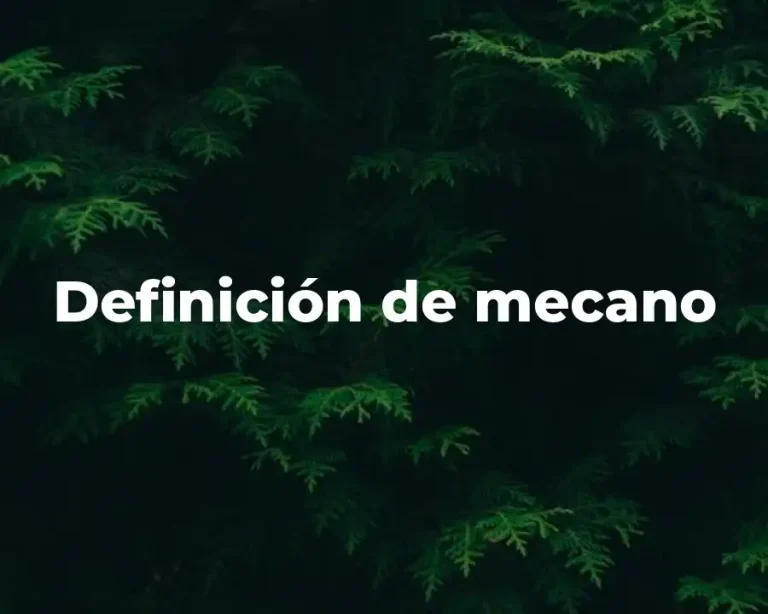 Definición de mecano