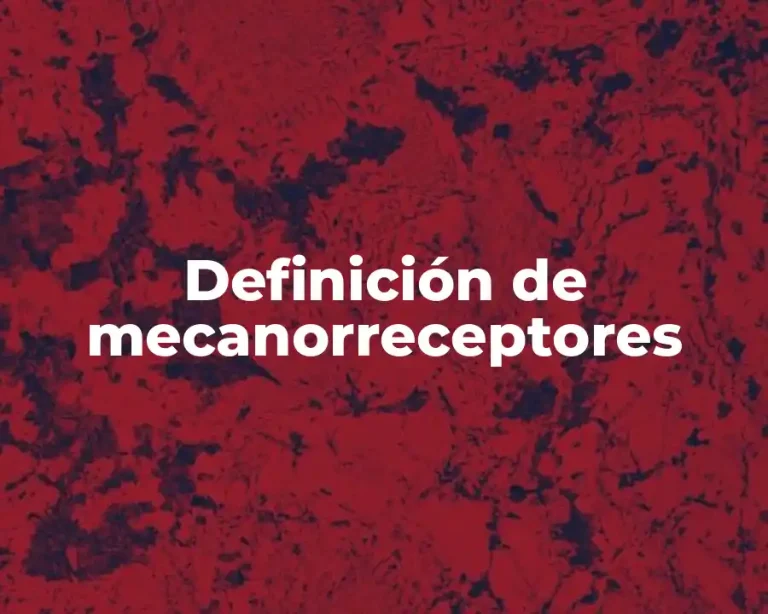 Definición de mecanorreceptores