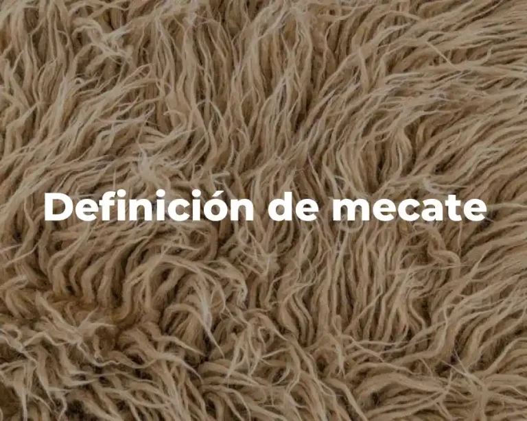 Definición de mecate