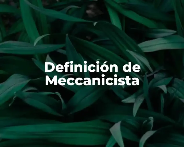 Definición de Meccanicista