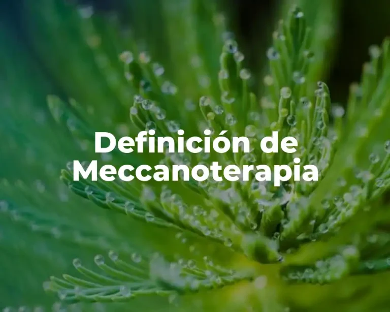 Definición de Meccanoterapia