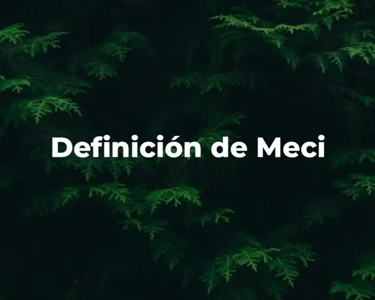 Definición de Meci