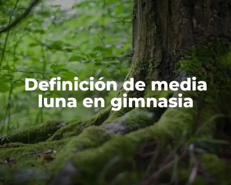 Definición de media luna en gimnasia