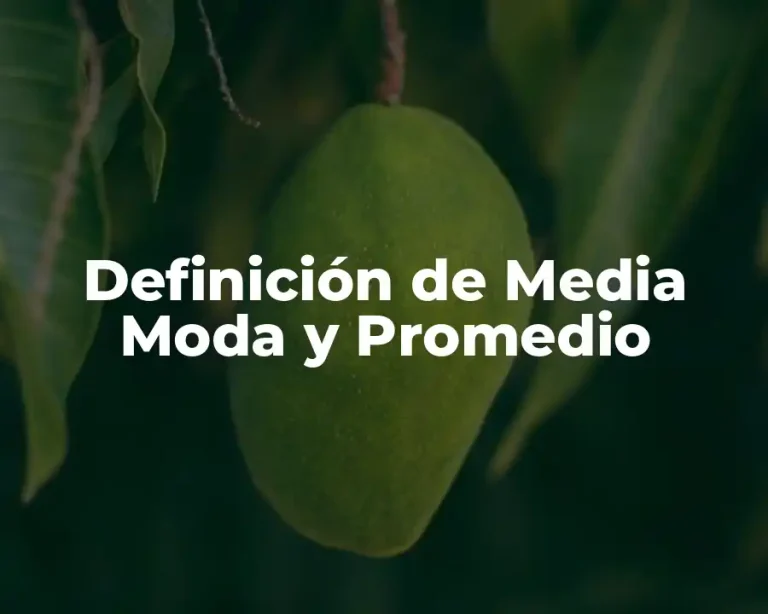 Definición de Media Moda y Promedio