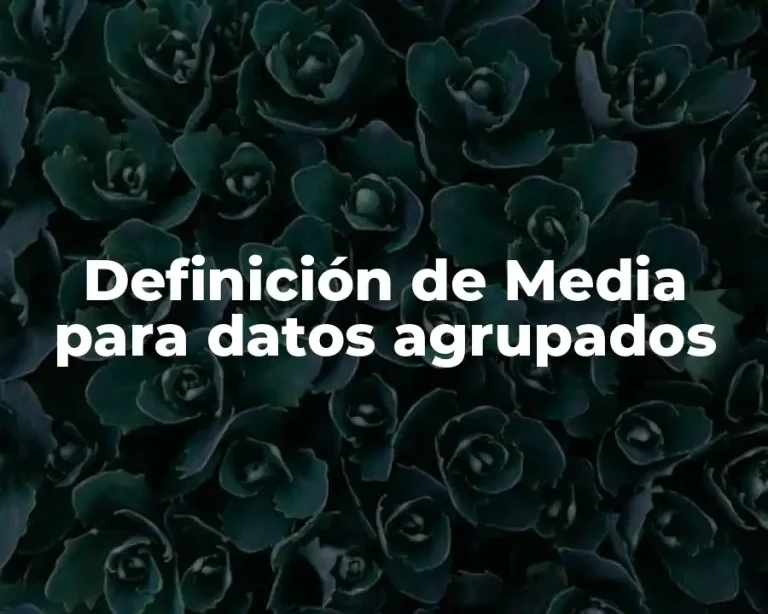 Definición de Media para datos agrupados