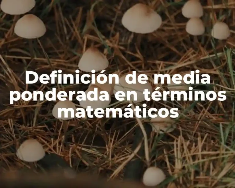 Definición de media ponderada en términos matemáticos