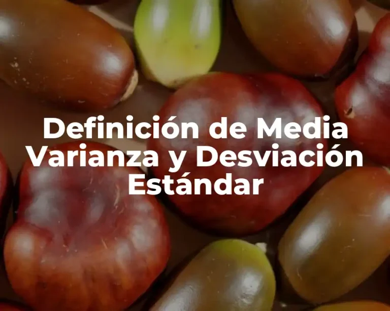 Definición de Media Varianza y Desviación Estándar
