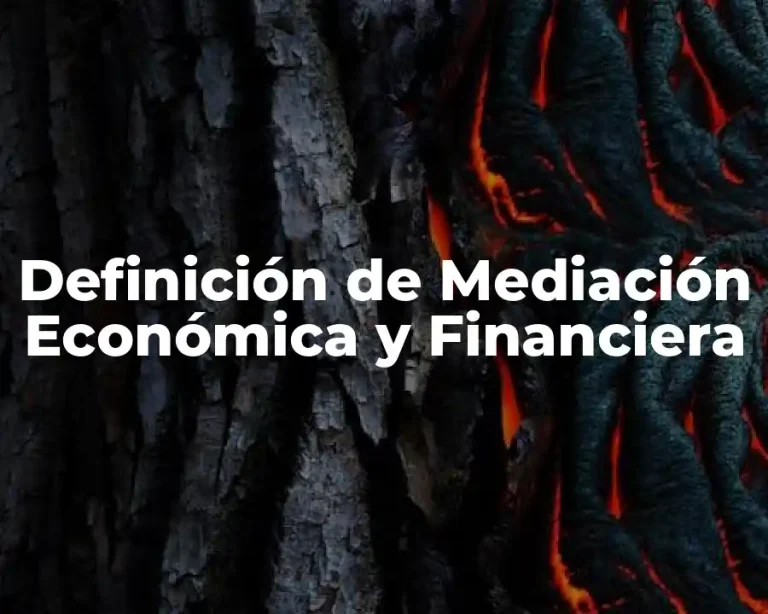 Definición de Mediación Económica y Financiera