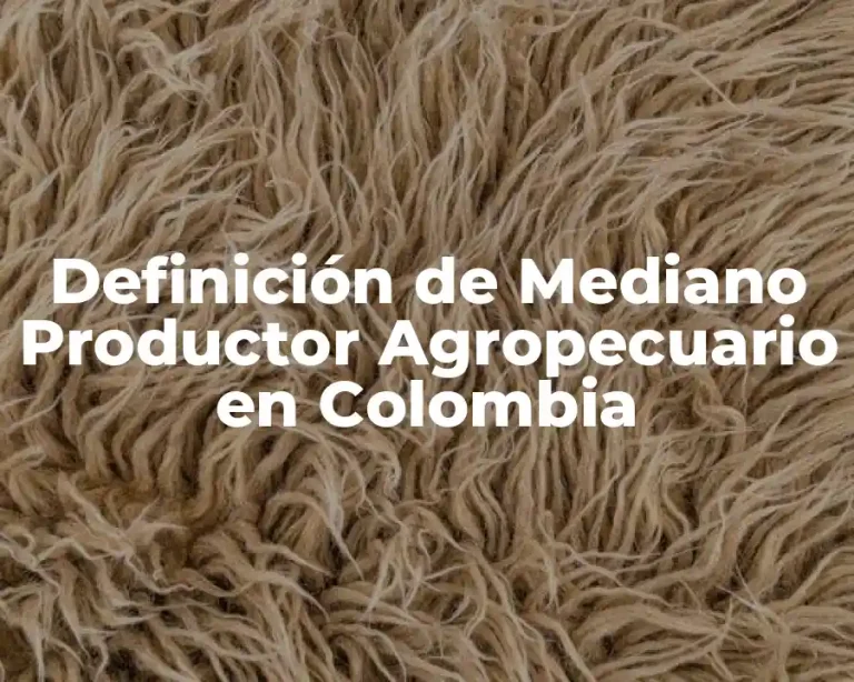 Definición de Mediano Productor Agropecuario en Colombia