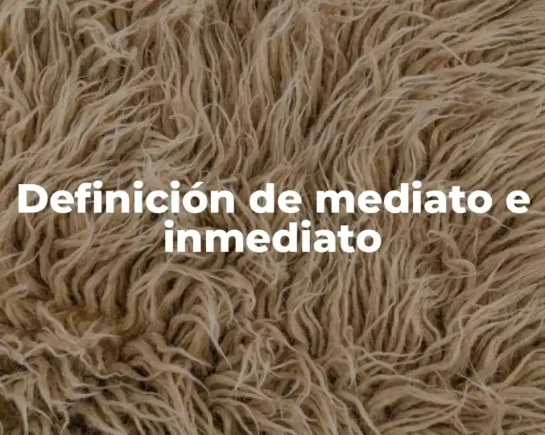 Definición de mediato e inmediato