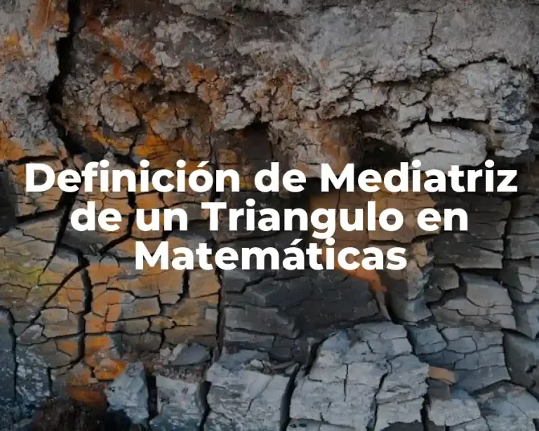 Definición de Mediatriz de un Triangulo en Matemáticas