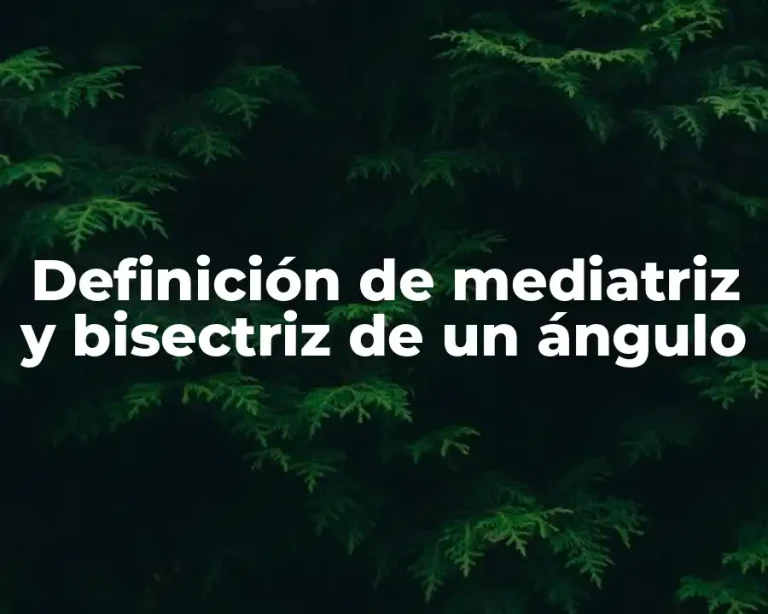 Definición de mediatriz y bisectriz de un ángulo