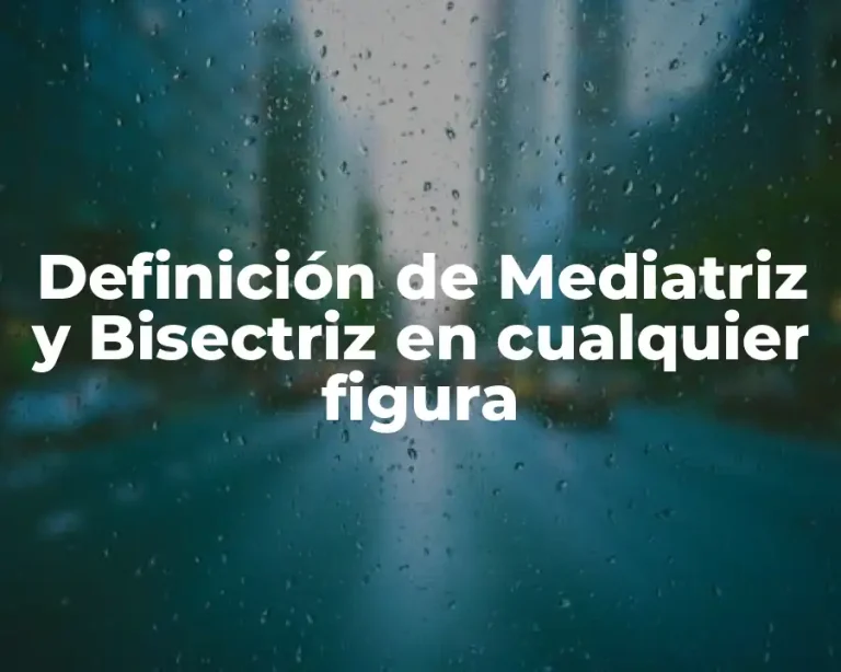 Definición de Mediatriz y Bisectriz en cualquier figura