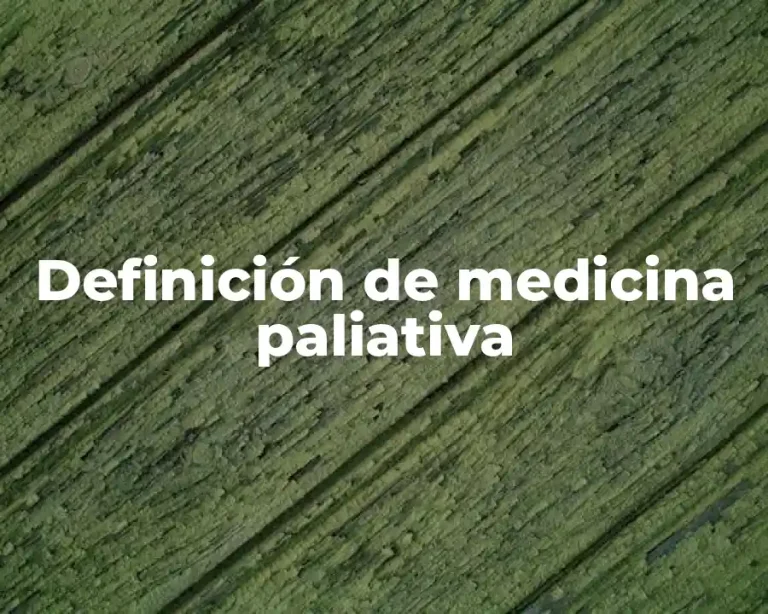 Definición de medicina paliativa