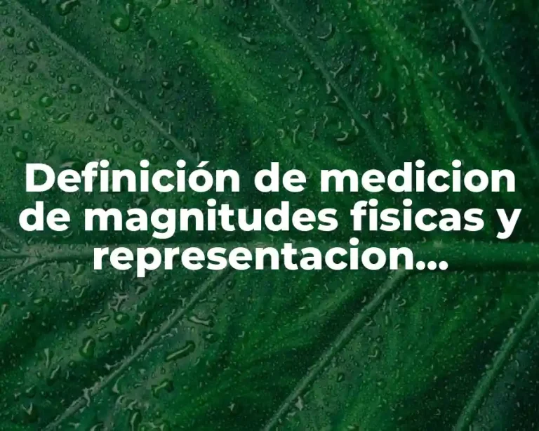 Definición de medicion de magnitudes fisicas y representacion vectorial