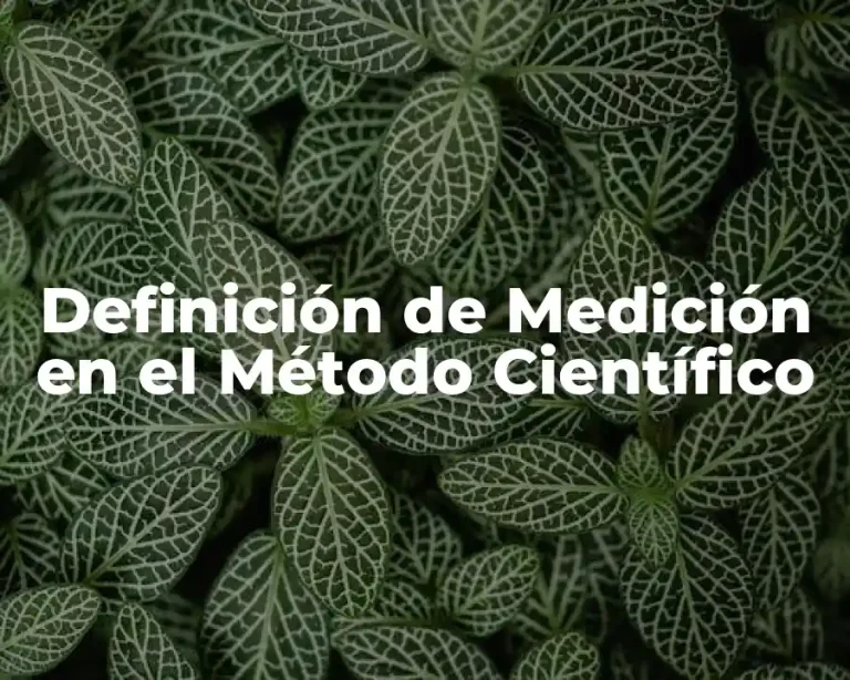 Definición de Medición en el Método Científico